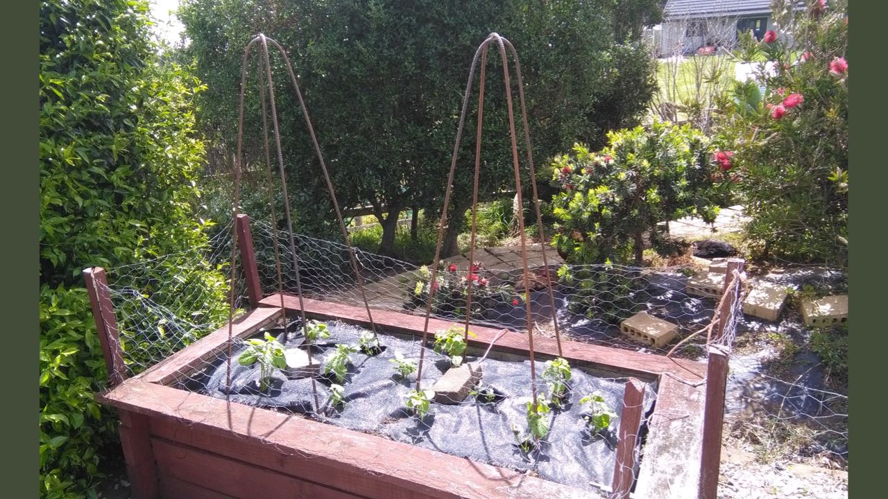 rebar vegetable support trellis project